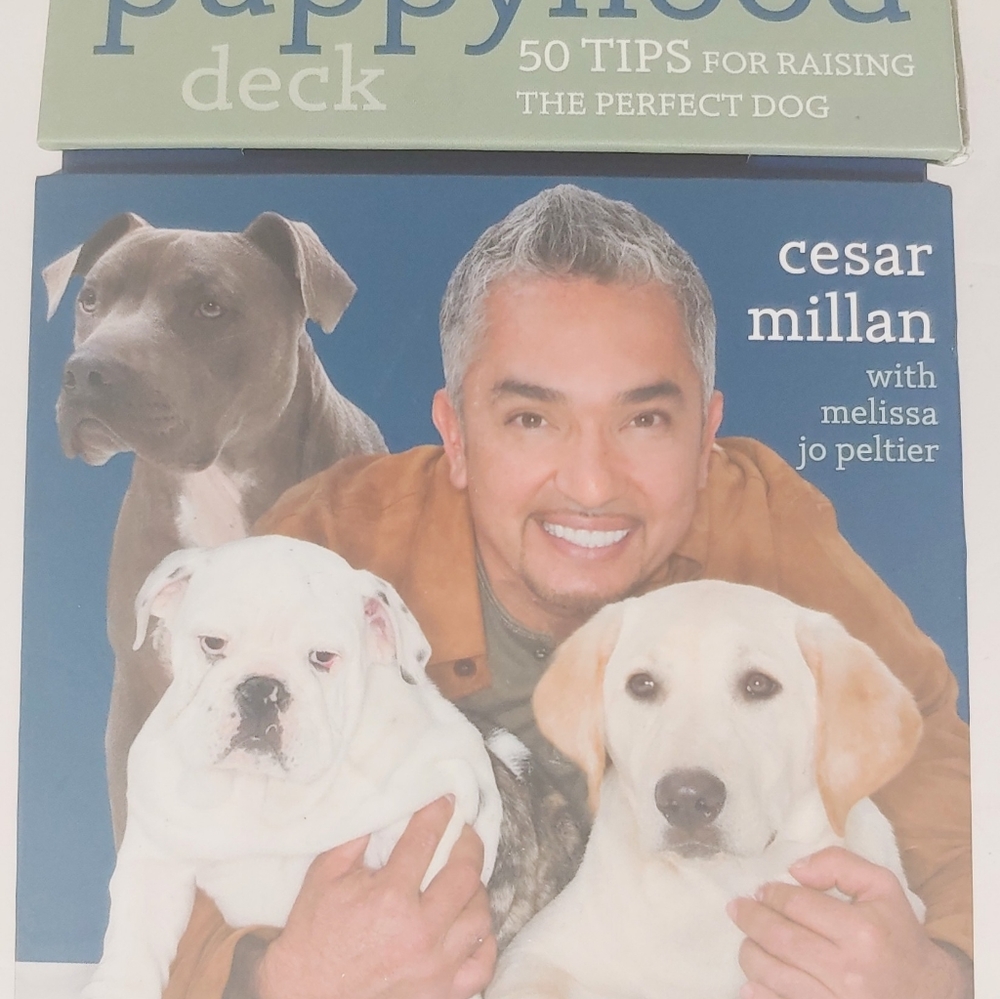 Puppyhood Deck : 50 Tips for Raising the Perfect Dog by Cesar Millan